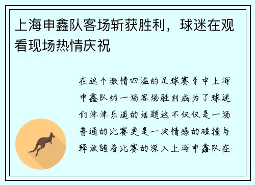 上海申鑫队客场斩获胜利，球迷在观看现场热情庆祝