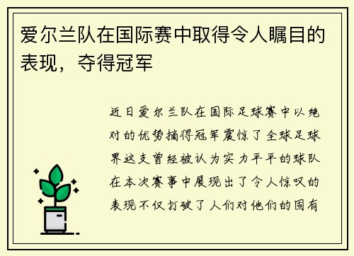 爱尔兰队在国际赛中取得令人瞩目的表现，夺得冠军