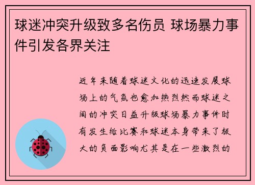 球迷冲突升级致多名伤员 球场暴力事件引发各界关注