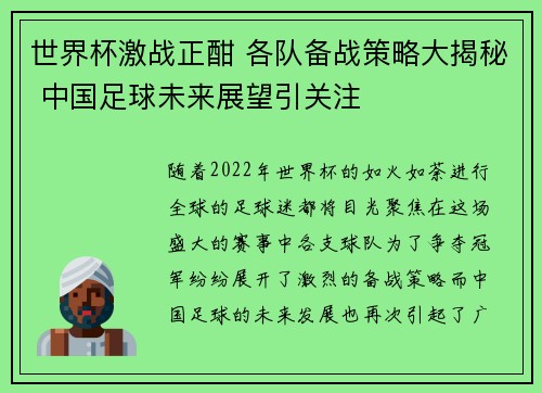 世界杯激战正酣 各队备战策略大揭秘 中国足球未来展望引关注